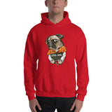 Cool Dog Hoodie